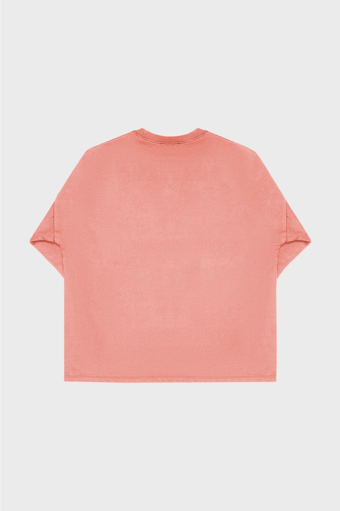 SALMON "VANGUARD" CREWNECK - Image 3